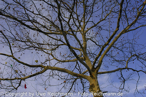 2009_12_21_09.48.48h_240